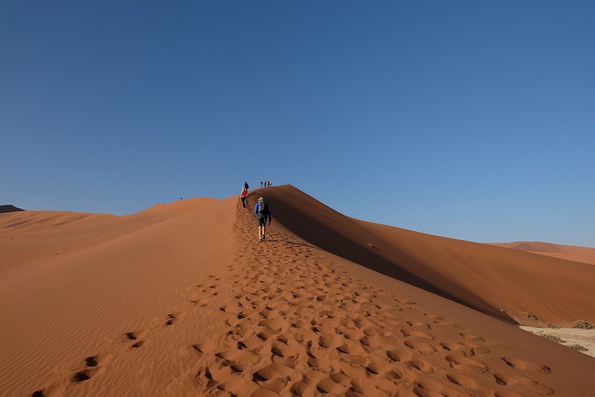 Deadvlei, Sossusvlei, Namibie