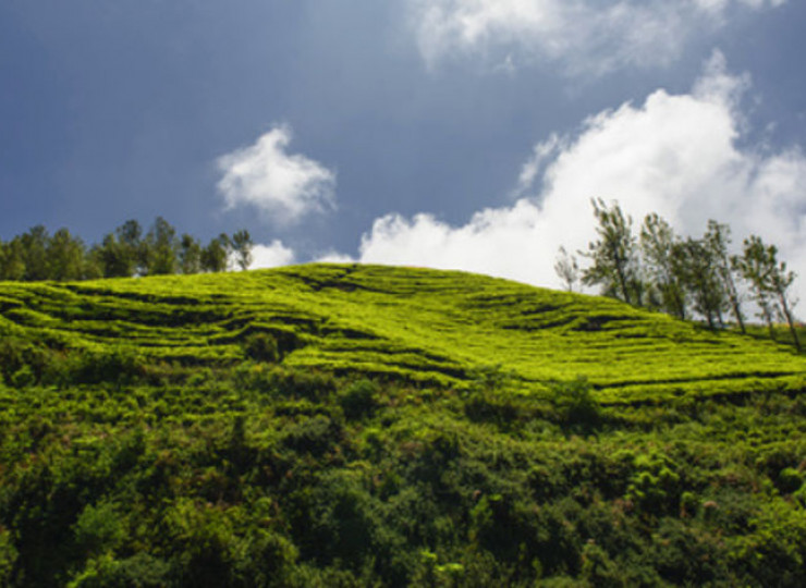 Le train des Nilgiri