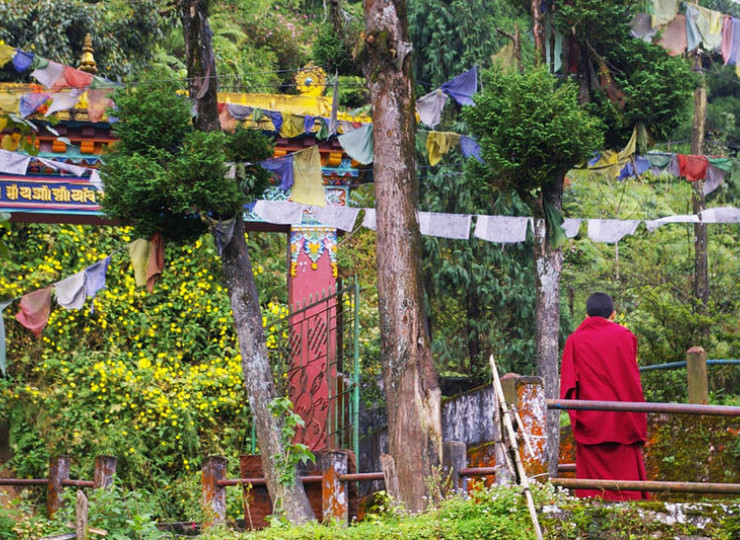 Toy Train direction Darjeeling