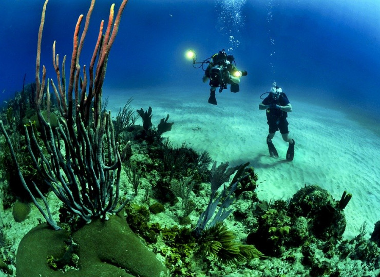 Plongée & Snorkeling