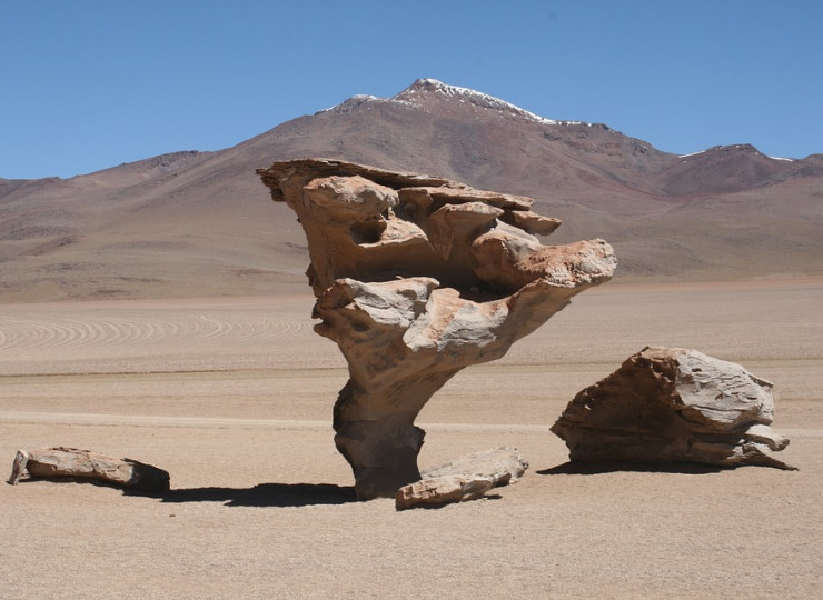 Atacama : quand le désert fleurit !