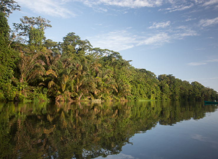 Parc national Tortuguero