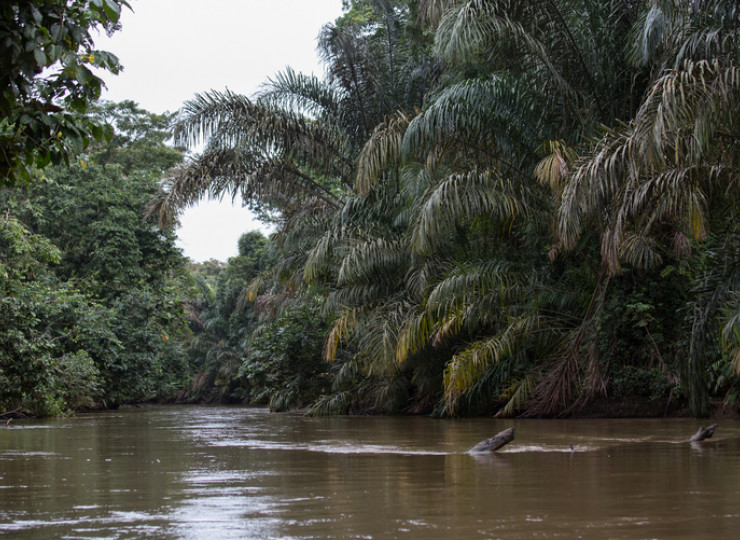 Parc national Tortuguero