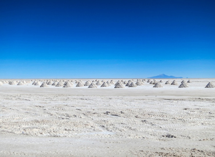 Atacama : quand le désert fleurit !