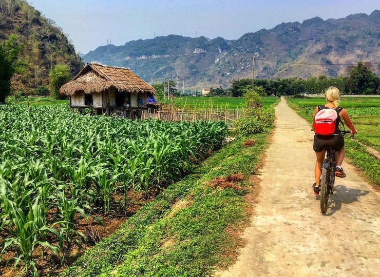 Balade à vélo à Mai Chau