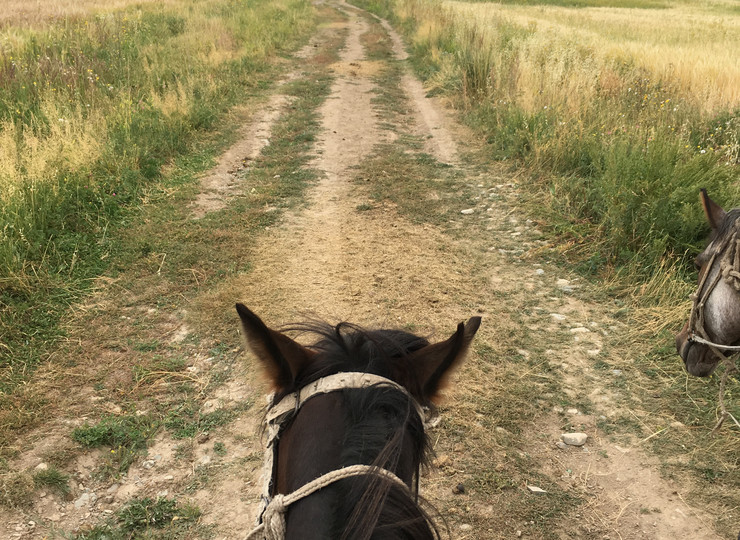 voyage Kirghizie cheval
