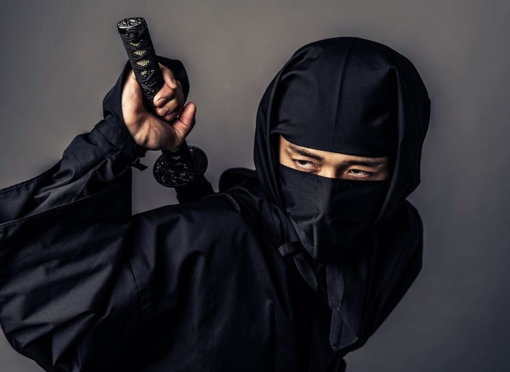 Entraînement NINJA