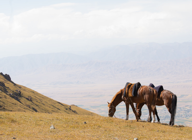 voyage Kirghizie cheval
