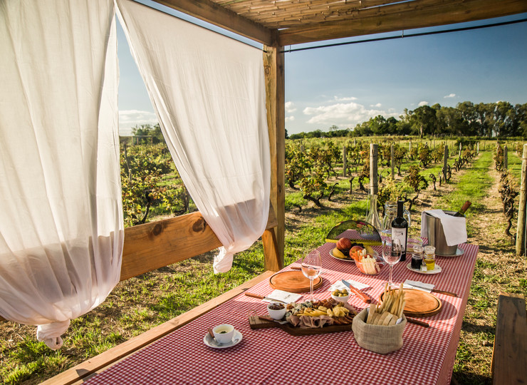 Uruguay Voyage Carmelo winetour