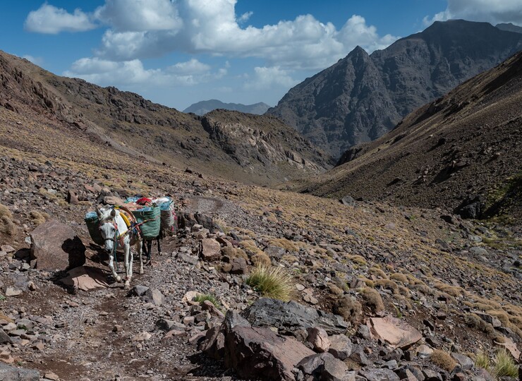 Ascension privée du Mont Toubkal