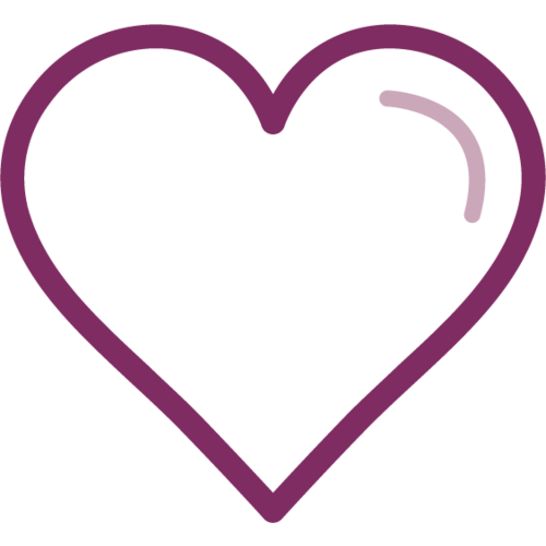 Rencontre avec les gorilles