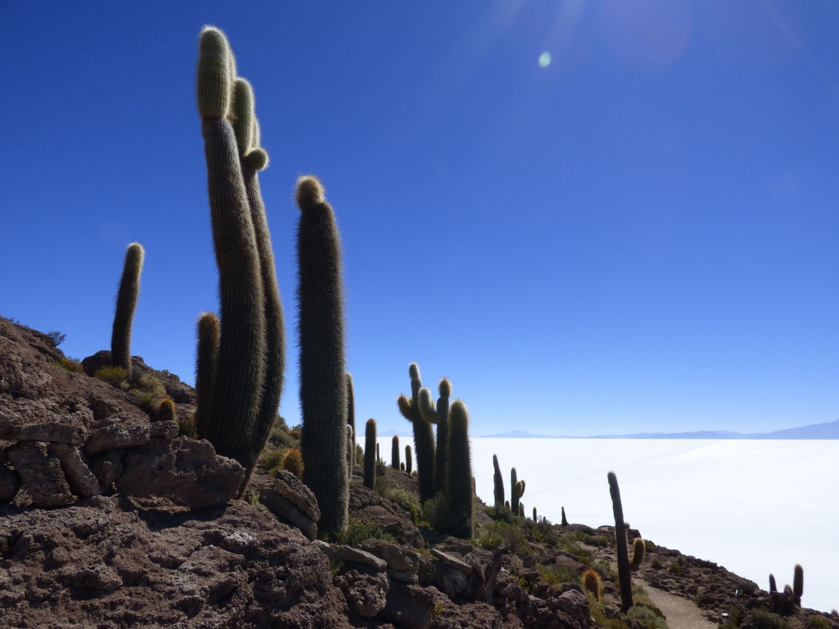 Bolivie Voyage Isla Incahuasi Uyuni