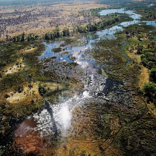 safari botswana-okavango