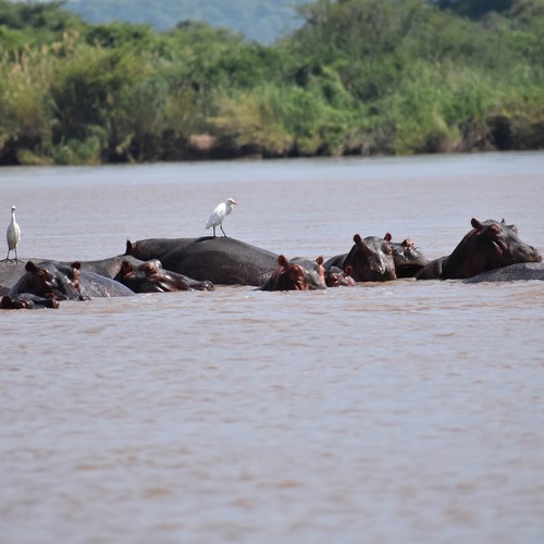 voyage-zimbabwe