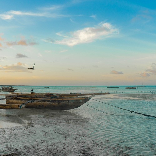 safari-tanzanie-zanzibar