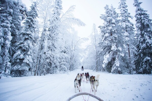 Pourquoi voyager en Finlande ?