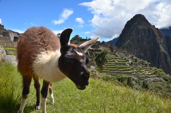 Quelles sont les régions incontournables d'un voyage au Pérou : Cusco