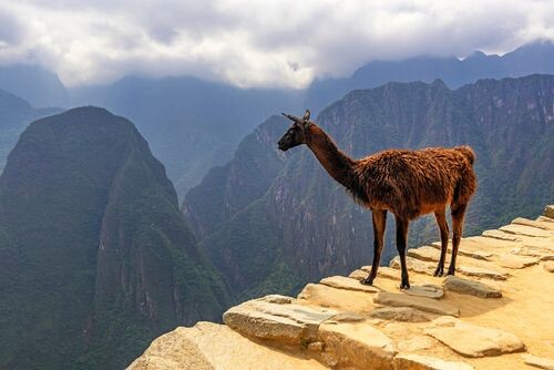 Cuzco - Canyon de Colca Pérou