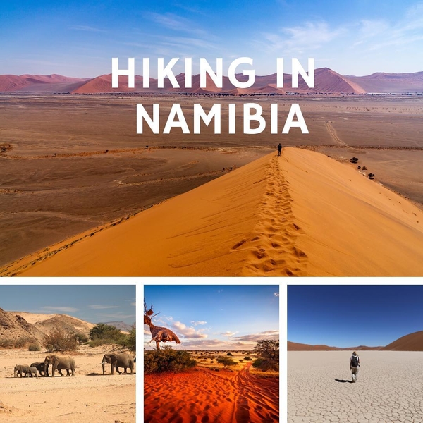 [ INSPIRATION ✨🥾🌍 ]
Walking across breathtaking landscapes !
⠀
Namibia is an absolute destination for hiking : ⠀ ⠀ ⠀ 🦒Etendeka Reserve
🦓 NamibRand Reserve
🐘 Waterberg National Park
Come to #namibia for an unforgettable experience ! ⠀#hiking #africa #safari #nature #discovery #explore #travel #keepexploring #traveltheworld #travelwithadgentes