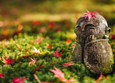 🍁 Momiji – Sous les feuilles rouges et or 🍁

Découvrez la magie de l’automne avec notre circuit Momiji, une balade enchanteuse au cœur des couleurs flamboyantes ! 🍂✨

Partez à la découverte des paysages où les feuilles rouges et or transforment la nature en un véritable tableau vivant. Une expérience immersive, entre sérénité et émerveillement, parfaite pour les amoureux de la nature et les passionnés de photographie. 📸🌿

🌟 Laissez-vous porter par cette escapade automnale unique, et vivez un moment hors du temps !

#Momiji #Automne #FeuillesRouges #NatureLovers #Balade #CouleursDAutomne #adgentes