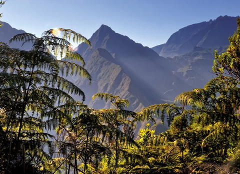 🌴 À la découverte des Charmes Créoles 🇷🇪🇲🇺

Envie de vivre l’authenticité des îles de l’océan Indien ?
Notre circuit Charmes Créoles vous emmène entre la Réunion et l’île Maurice :
🌋 paysages volcaniques et randonnées à couper le souffle
🌊 plages de rêve et art de vivre mauricien
💛 rencontres locales et hébergements de charme

✨ Un voyage unique, riche en émotions, pour explorer deux perles insulaires, entre aventure et détente.

🗺️ Circuit en petit groupe ou privatisable
📆 Dates flexibles
🧳 Organisation 100% sur mesure avec nos spécialistes

Prêt(e) à plonger dans l’âme créole ? 🌺

#AdGentesVoyages #CharmesCréoles #Réunion #IleMaurice #OcéanIndien #VoyageAuthentique #VoyageSurMesure #ÉvasionCréole #TravelExperience #VoyageDeCharme
