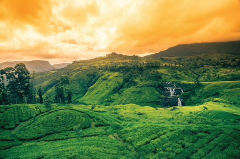 🇱🇰 Pourquoi on aime tant le Sri Lanka ?
Avec Ad Gentes, partez à la découverte d’un joyau aux mille facettes 🌿✨

🤗 Good vibes garanties : douceur de vivre, sourires et sérénité.
🌄 Nature spectaculaire : montagnes, plantations de thé, cascades, forêts.
🍛 Saveurs exotiques : currys, sambols, fruits tropicaux… un délice !
🛕 Trésors spirituels : temples, stûpas, cités antiques.
🐘 Safaris inoubliables : éléphants, léopards, crocodiles…
🌊 Plages paradisiaques : surf, farniente, snorkeling…
🧘 Luxe & bien-être : écolodges, soins ayurvédiques, vues de rêve.
🏺 Culture vivante : artisanat, danses, traditions et sourires.

📍 Envie de vivre tout ça ?
📲 Découvrez nos voyages sur : https://www.ad-gentes.ch/destinations/asie/sri-lanka

#SriLanka #adgentes  #VoyageEnAsie #VoyageDeRêve #SriLankaTrip #NatureEtCulture #VoyagerAutrement
