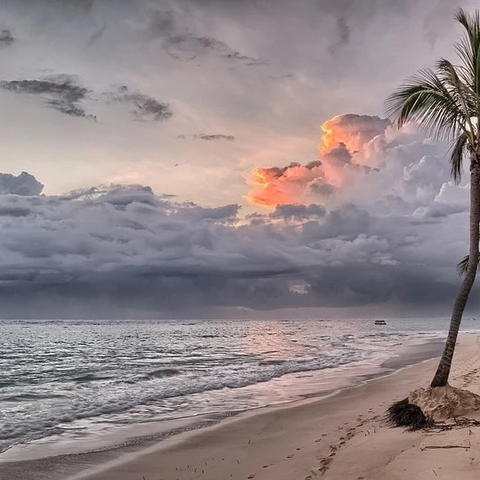 🌊 Cap sur Bayahibe : le secret bien gardé de la République Dominicaine ! 🐚🌴

Vous rêvez d’évasion loin des foules ? Bienvenue à Bayahibe, petit village de pêcheurs devenu l’une des perles les plus préservées des Caraïbes.

🤍 Plages sauvages et calmes
🚤 Excursion incontournable vers l’île de Saona
🐠 Snorkeling dans des eaux cristallines
🌅 Couchers de soleil magiques face à la mer des Caraïbes

Un séjour entre authenticité, nature et détente absolue. Parfait pour les couples, les aventuriers... et tous ceux qui veulent vraiment déconnecter.

📲 Contacte-nous pour un devis sur-mesure ✈️

 #adgentes #Bayahibe #RepubliqueDominicaine #VoyageParadisiaque #IleDeSaona #VacancesAuSoleil #PlageDeRêve #VoyageEnAmoureux #EvasionCaraïbes #AgenceDeVoyage #TravelBayahibe