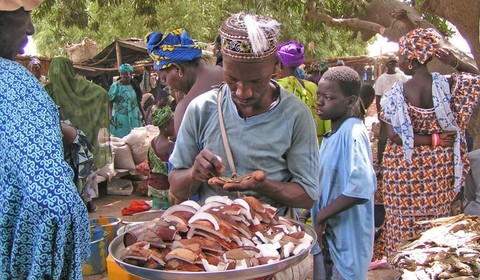 Marché de Sokone - Bambougar