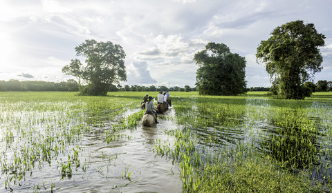 Pantanal sud