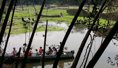 Forêt Amazonienne