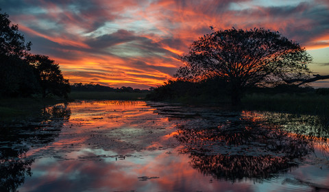 Pantanal - Ilheús - Péninsule de Maraú