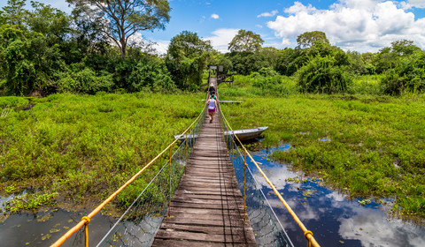 Pantanal