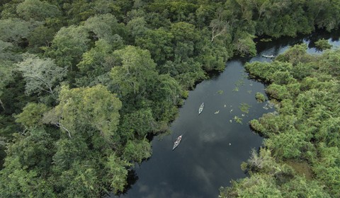 Pantanal