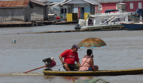 Belém - Manaus - Forêt Amazonienne