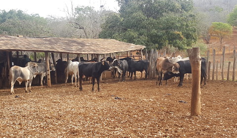 Adieux à la Chapada