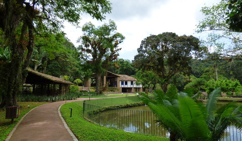 Mamangua - Paraty