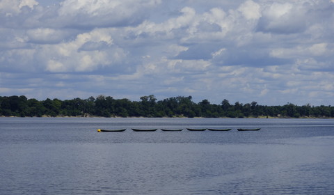 Archipel Anavilhanas - Manaus