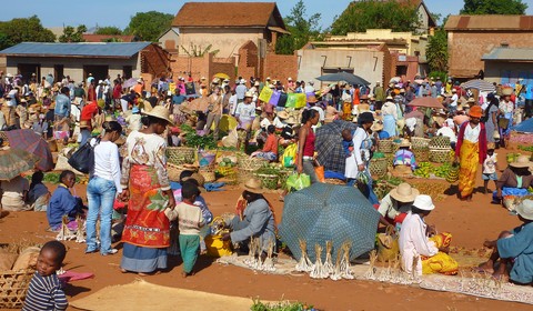 Fianarantsoa - Ambalavao - Ranohira