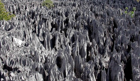 Randonnée dans les Tsingy de l’Ankarana