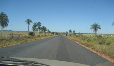 Manaus - Cuiaba - Pantanal