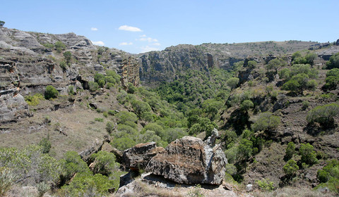 Visite du Parc National de l’Isalo