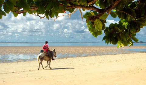 Praia do Forte