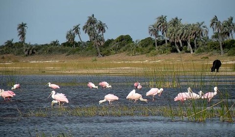 Punta del Diablo - Paysandu ( env. 150 km)