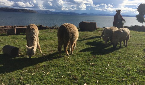 Llachon - Lac Titicaca - Lima