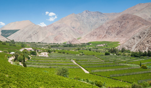 Vallée d'Elqui - La Serena