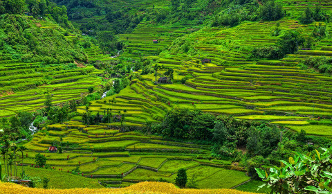 Bontoc - Banaue