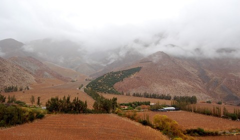 La Serena - Pisco Elqui