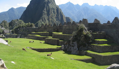 Aguas Calientes - Machu PIcchu - Cusco