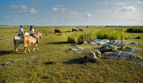 Aguaverde Lodge - Estancia Vik,  cheval