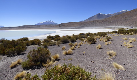 Colchani - San Juan - Nord de Lipez - Villamar